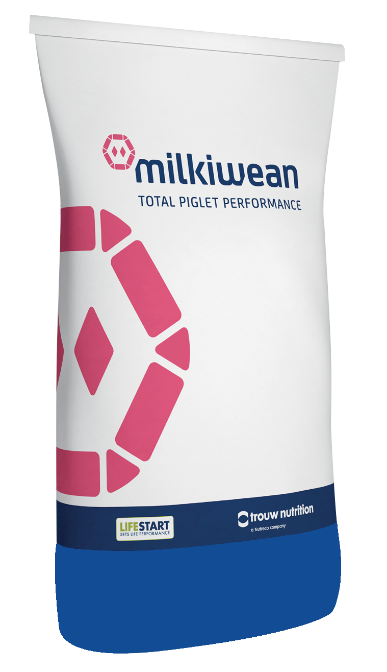 Milkiwean Fase Dos Milkiwean Fase 2, gradual
